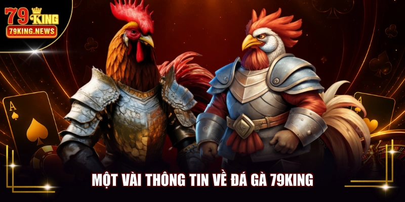 Một vài thông tin về đá gà 79KING